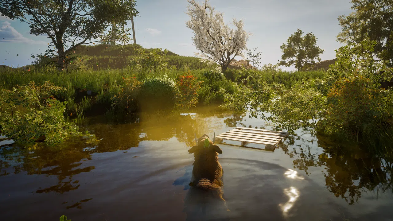 Wild Terrain Screenshot 5