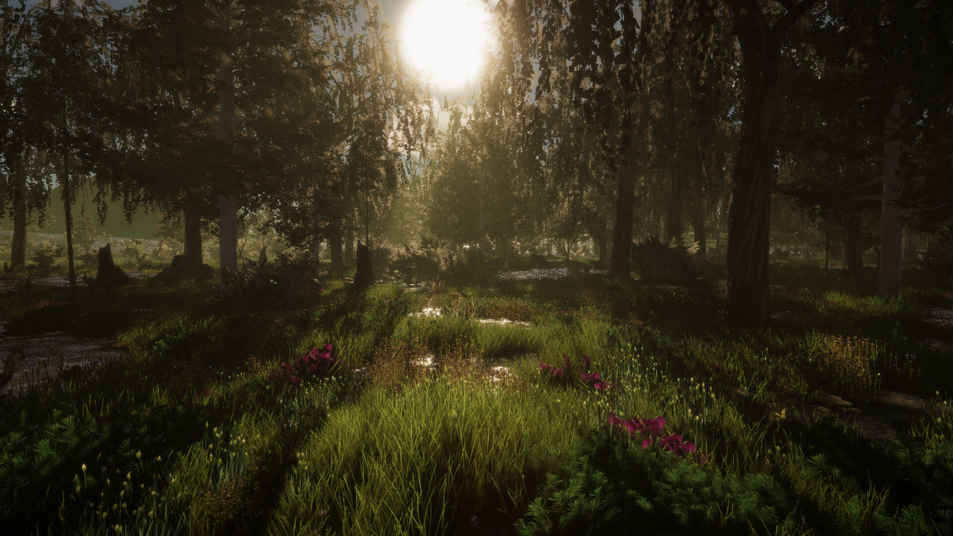 The Quinfall Screenshot 21