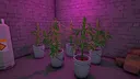 Nightclub Architect Screenshot 5