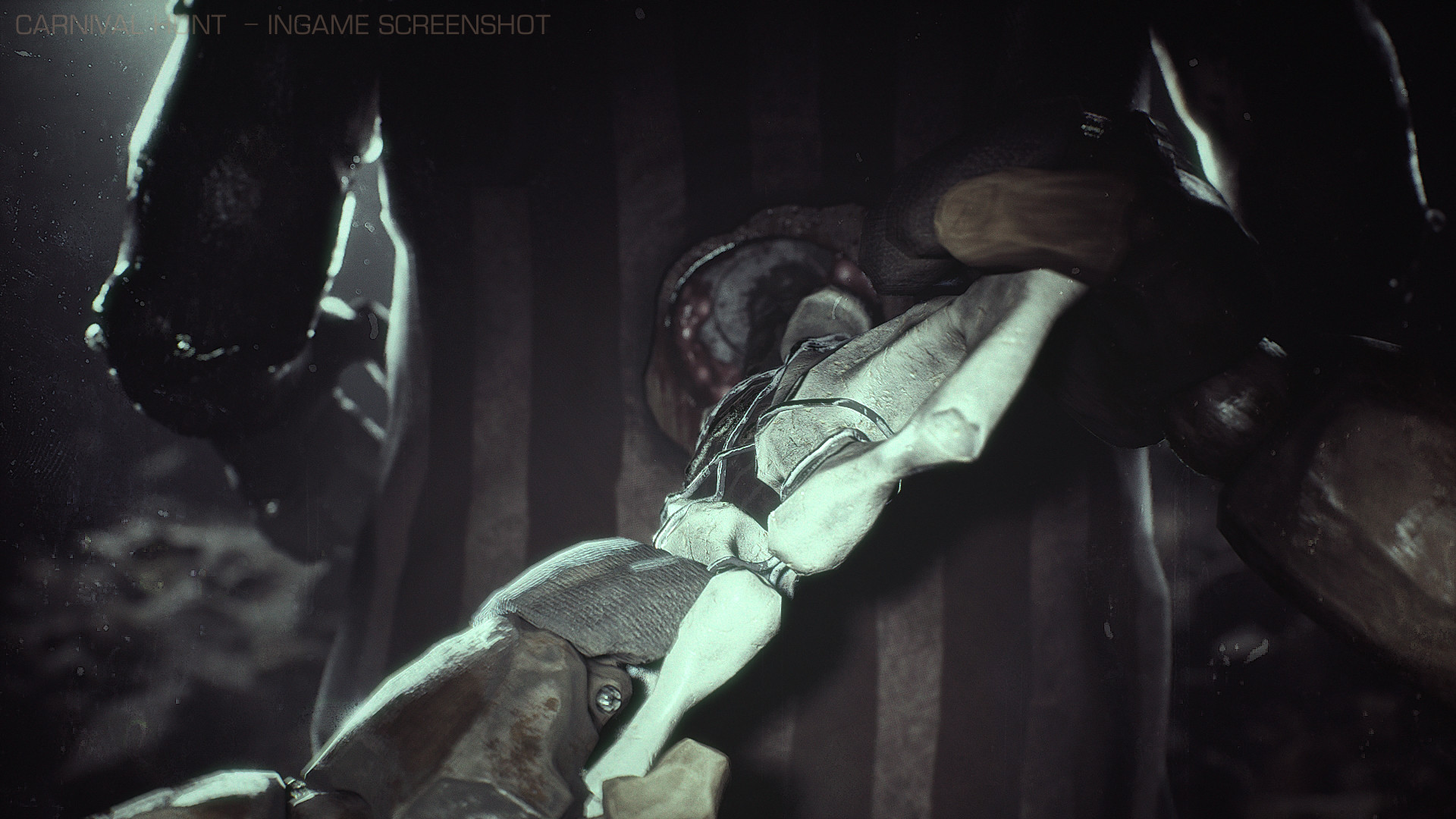 Carnival Hunt Screenshot 4