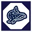 22 level complete icon