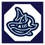 27 level complete icon