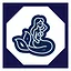 25 level complete icon