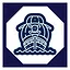 18 level complete icon