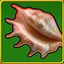 Seashells icon