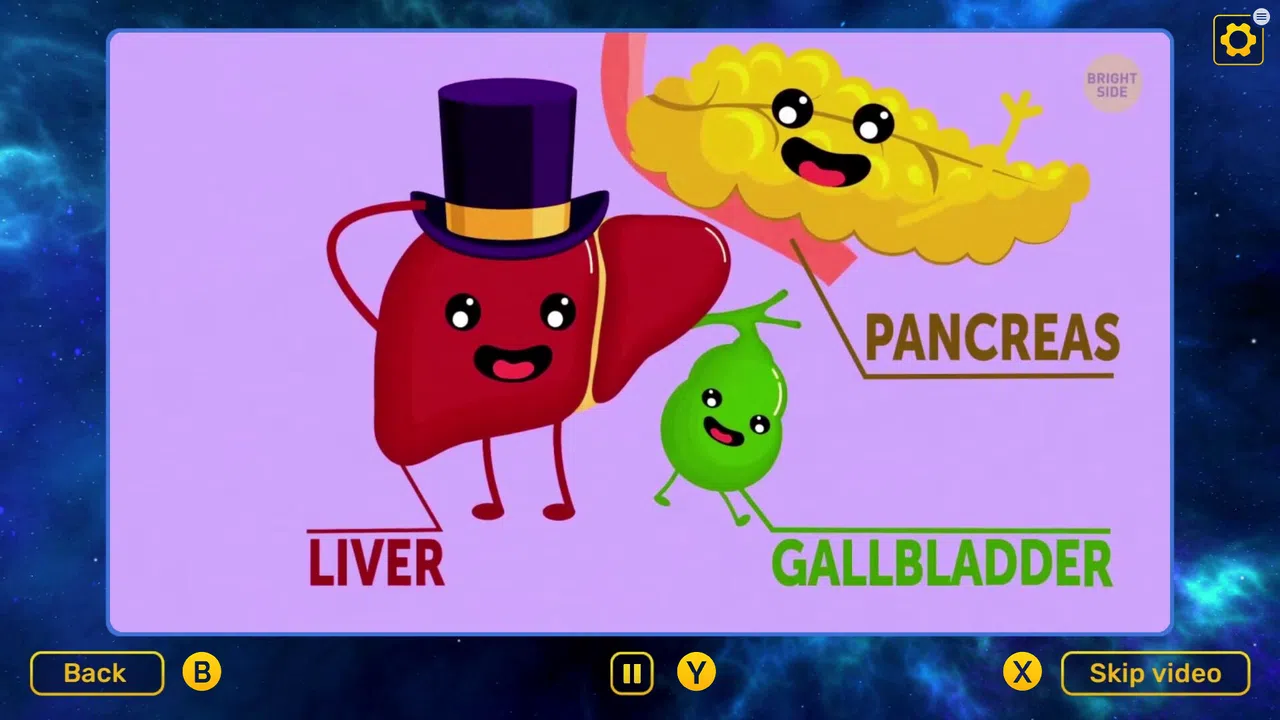 Bright Side: Quiz - Watch & Learn DLC Screenshot 4