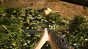 Zombie Must Dead! Screenshot 0