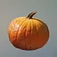 Pumpkin icon