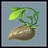 You planted your first seeds
