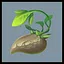 You planted your first seeds icon