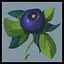 You gathered some berries icon