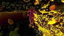 Smokkehed Screenshot 25