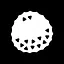 Lychee icon