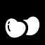 Cherries icon