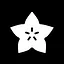 Starfruit icon