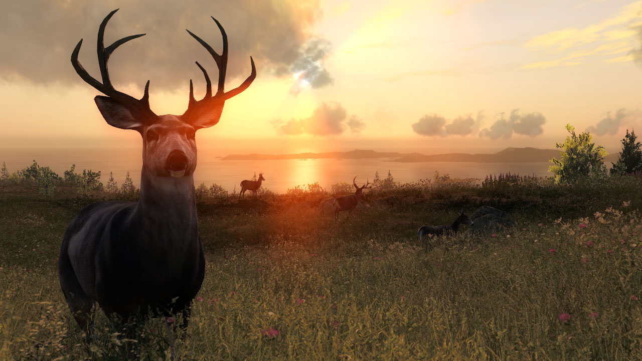 theHunter Classic Screenshot 2