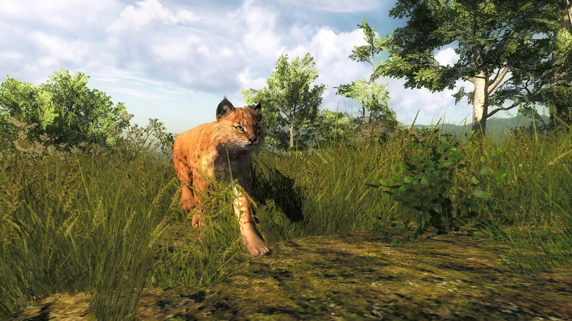 theHunter Classic Screenshot 7