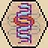 Plesiomorphy