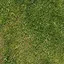 Grass icon
