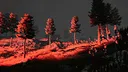 Relictor Screenshot 3