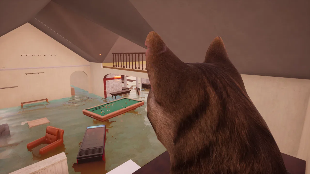 Ninja Cats Screenshot 5