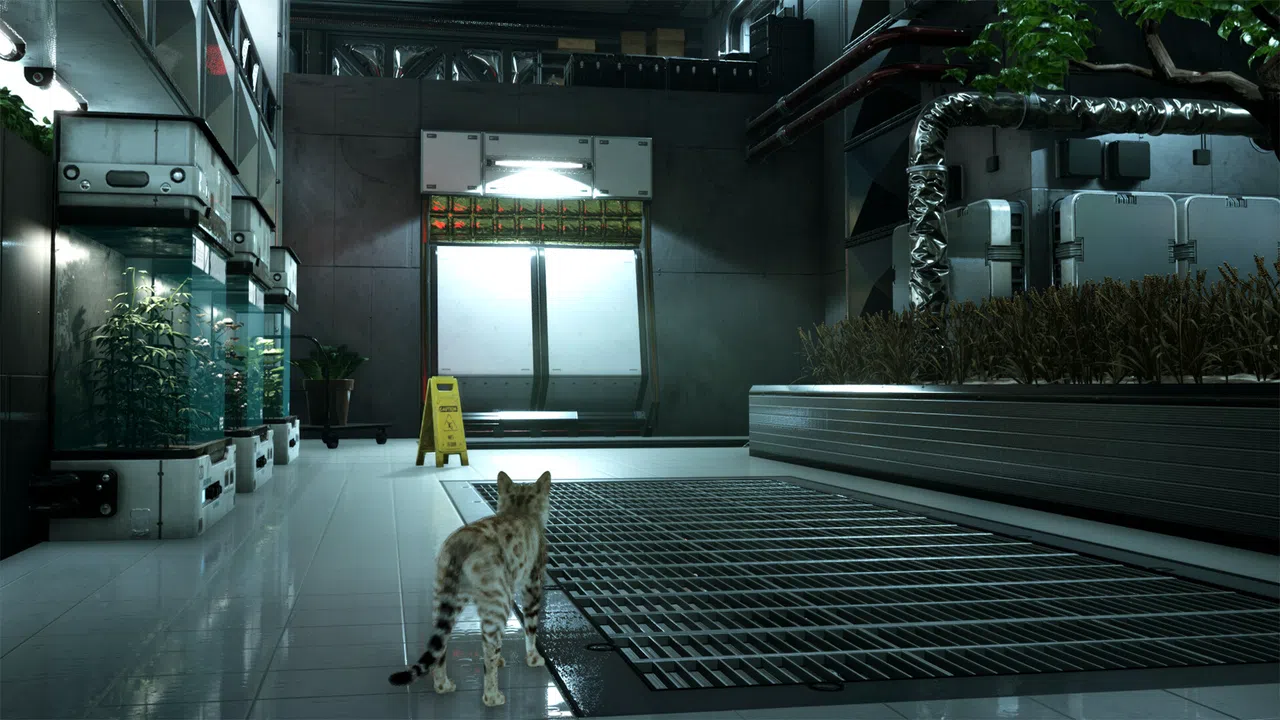 Catfall Screenshot 1
