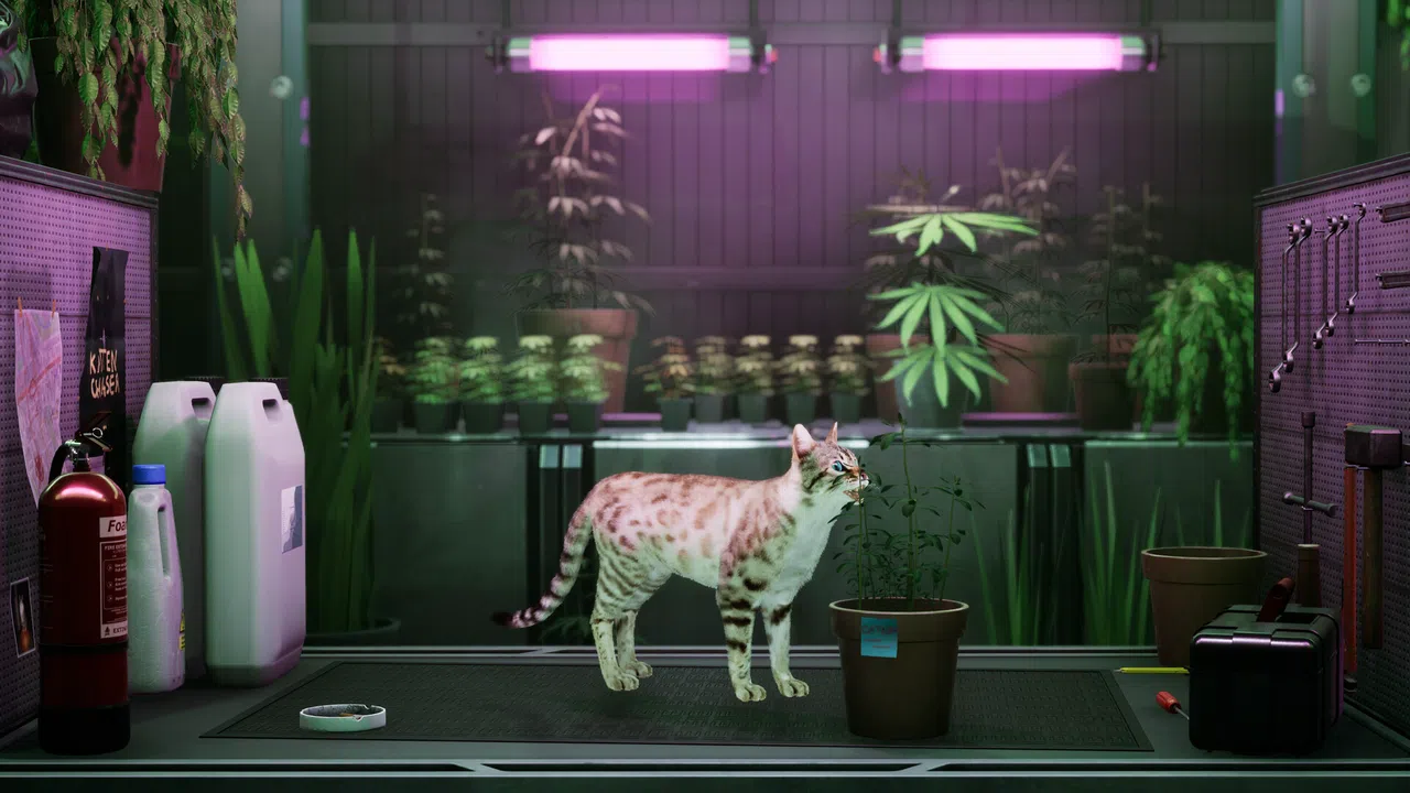 Catfall Screenshot 0