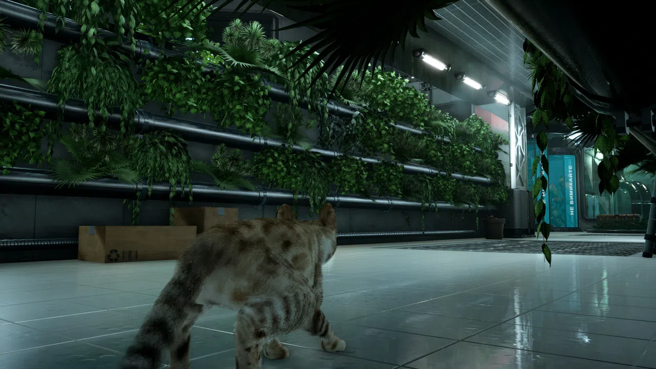 Catfall Screenshot 6