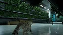 Catfall Screenshot 6