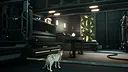 Catfall Screenshot 3