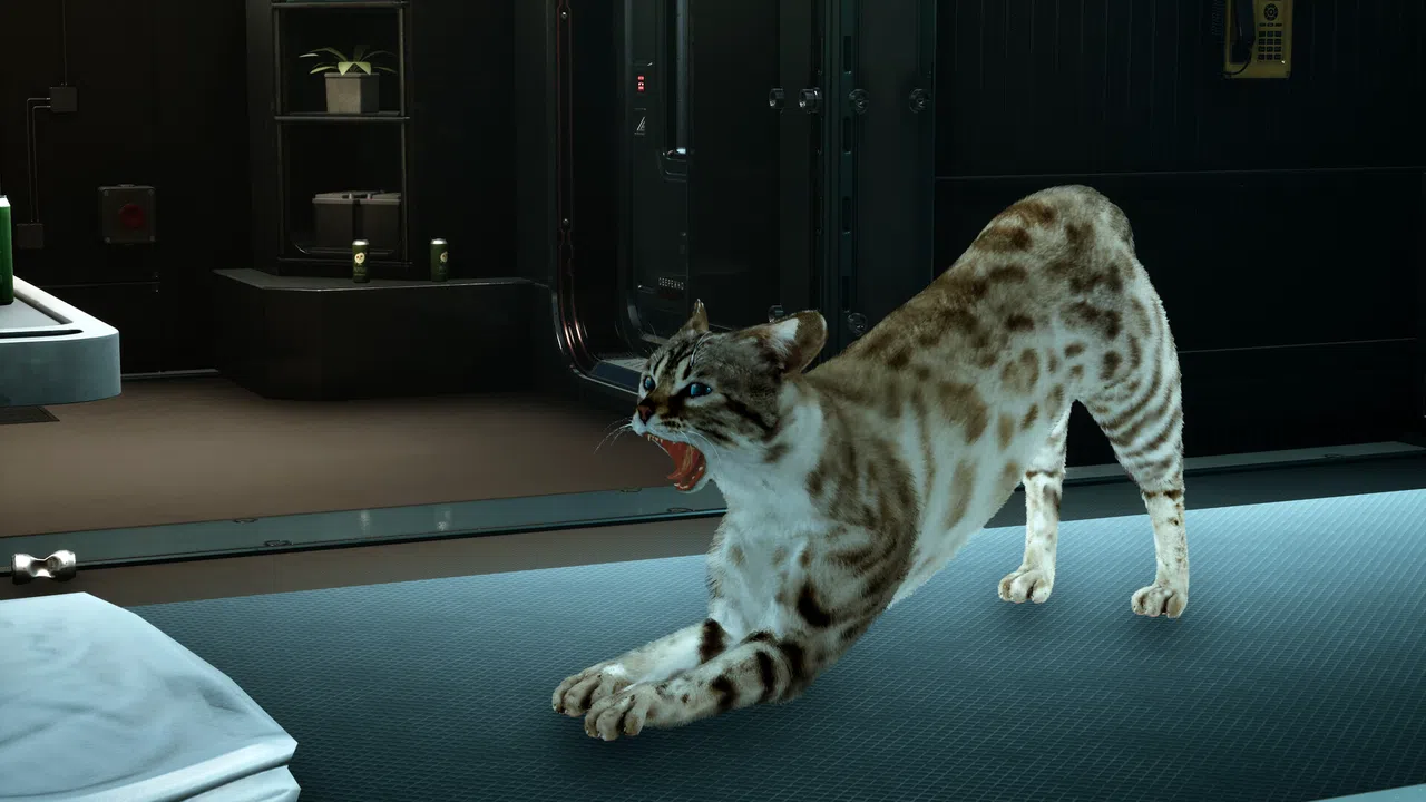 Catfall Screenshot 7