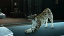 Catfall Screenshot 7