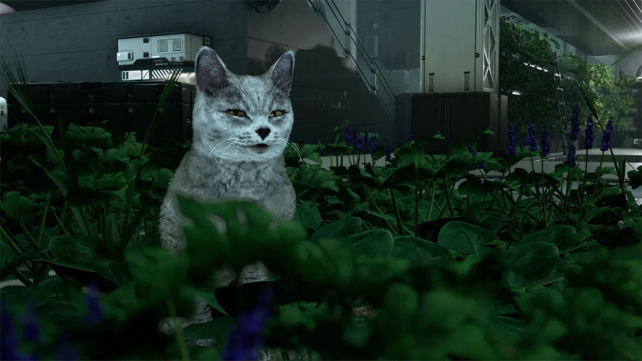 Catfall Screenshot 4