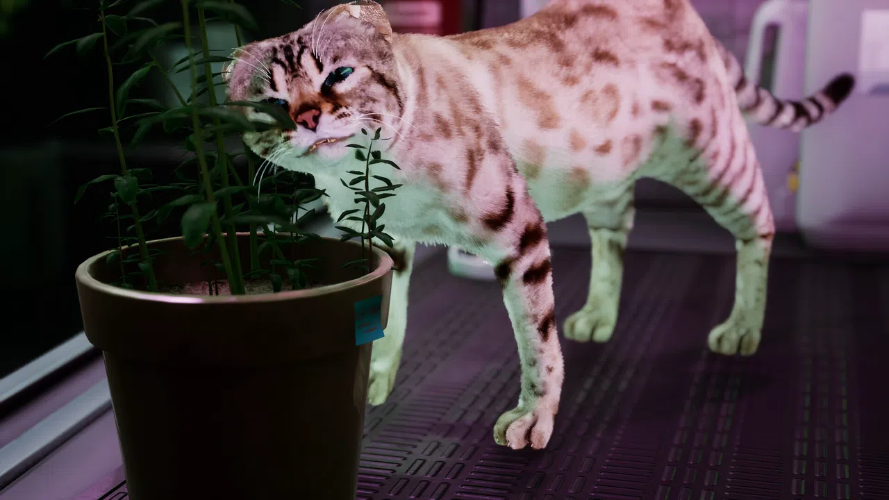 Catfall Screenshot 10