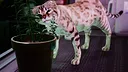 Catfall Screenshot 10