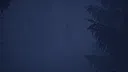 Whispers In The Woods Screenshot 3