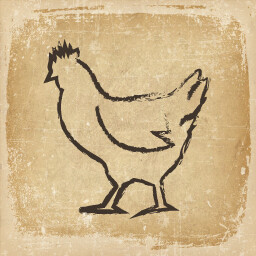 Feathered Friends icon