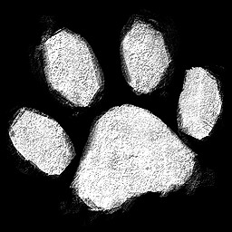 First Aid Fur Friend icon