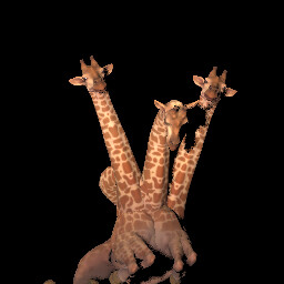 Lets Gams it Out icon