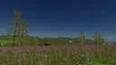 Poland Car Simulator Screenshot 4