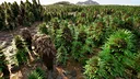 Paleobiome Screenshot 2