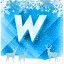 w icon
