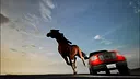 Horse Evolutions Screenshot 0