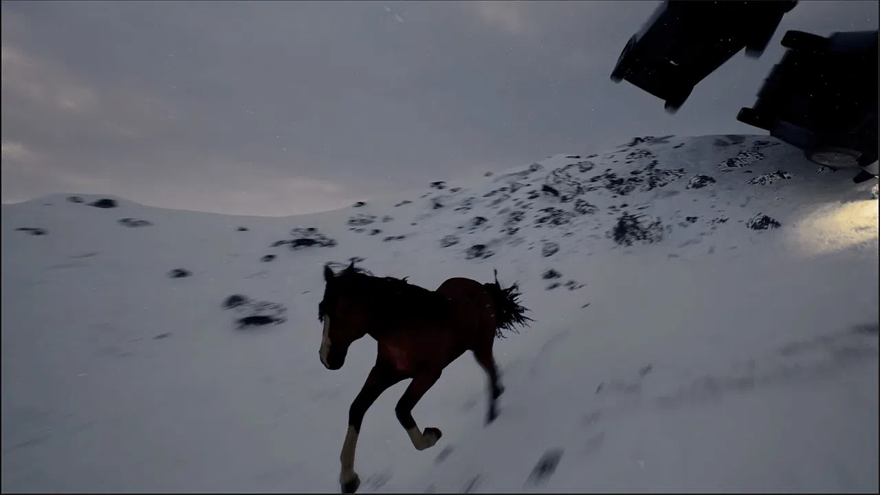 Horse Evolutions Screenshot 3