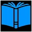 Encrypted icon