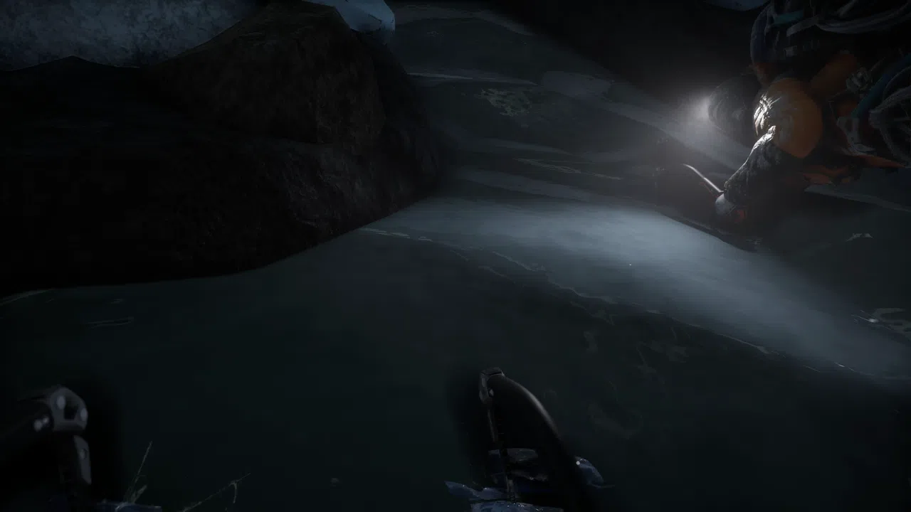 The Long Cold Screenshot 1