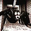 Giant Spider icon