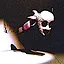 Leech Worm icon