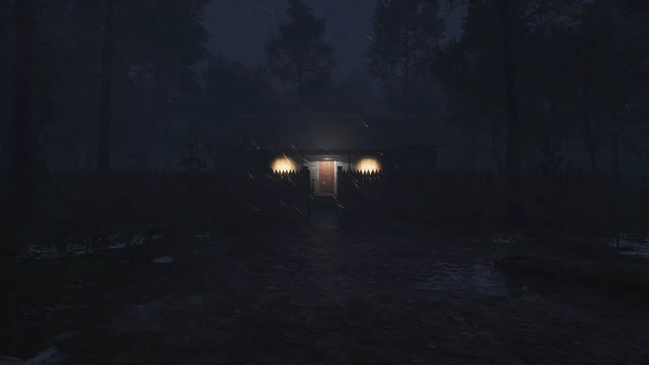 Light in the woods Screenshot 0