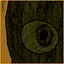Eye of the Woods icon